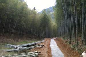 广州到从化旅游包团:从化溪头村+摘砂糖桔一天游