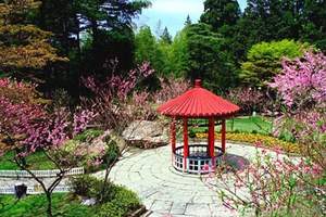 江西旅游-九江旅游-庐山婺源三清山景德镇汽车独立包团五日游