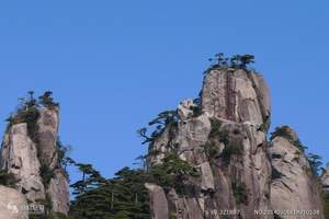 天津到婺源+景德镇+黄山双卧六天