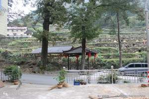 深圳旅游|公司包团观澜山水田园一天游(爱心动物园+拓展+温泉
