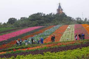 深圳旅游-深圳东部华侨城茶溪谷、大梅沙二日游