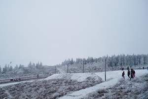 重庆旅行社 滑雪特线 冰雪仙女山一日游